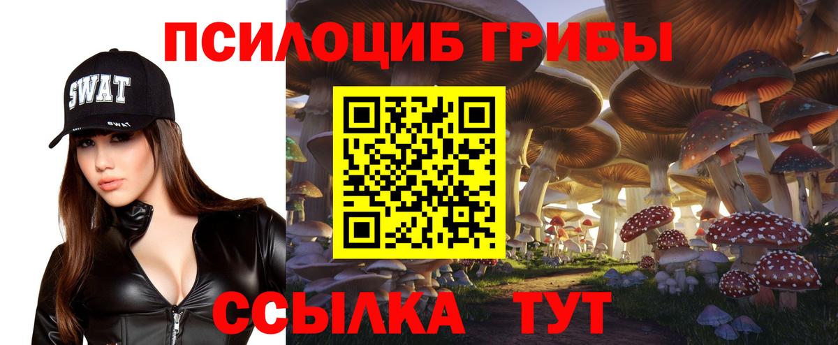Псилоцибиновые грибы прущие грибы Назрань