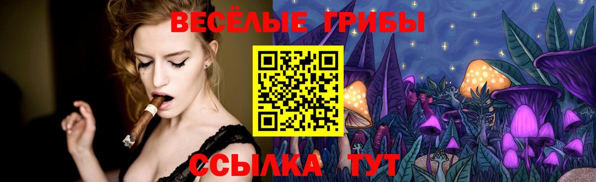 Назрань  Галлюциногенные грибы Cubensis  Вход с VPN 